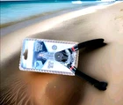 Brand New Quinn Snap Ring Pliers With Reversible Action .. Price: $25.00.