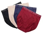 Breezies Nylon Microfiber Hi-cut Panty Set 4 Medium (BG-11) New. Price: $18.00.